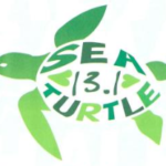 Sea Turtle Half Marathon and Sweetheart 5k 2024