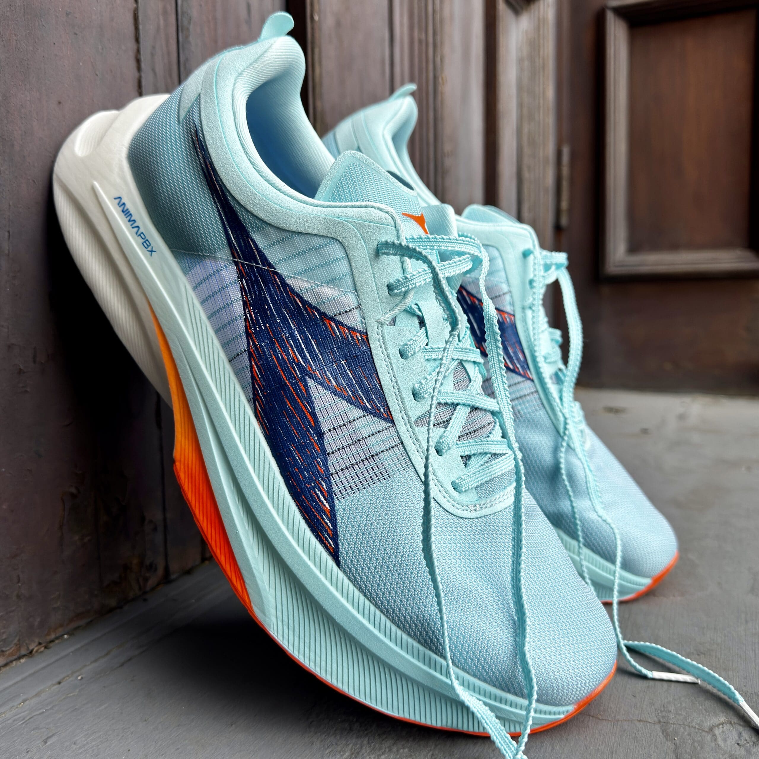 Diadora Gara Carbon 2