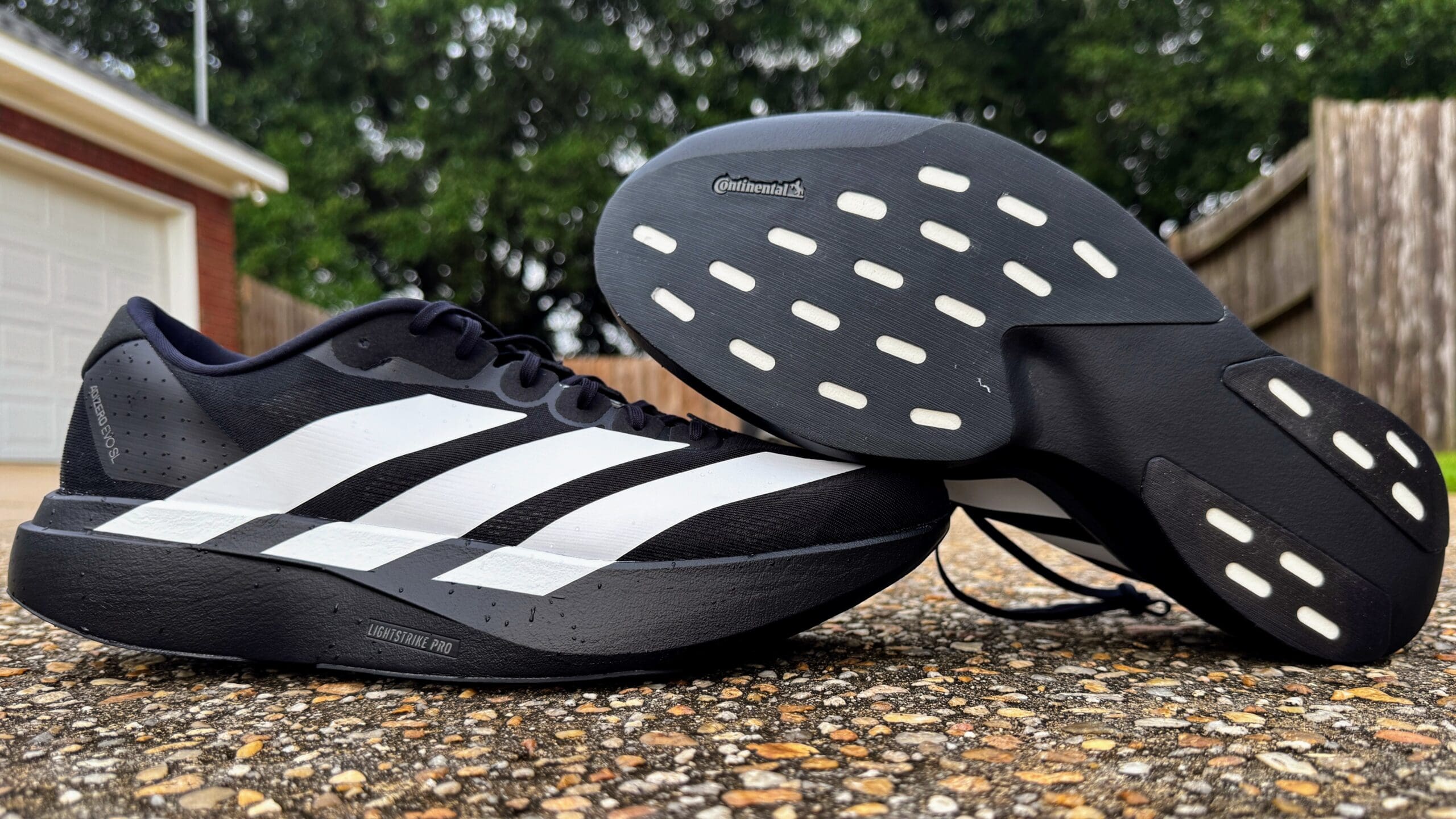Read more about the article Adidas Adizero Evo SL Review: Legend or Letdown?